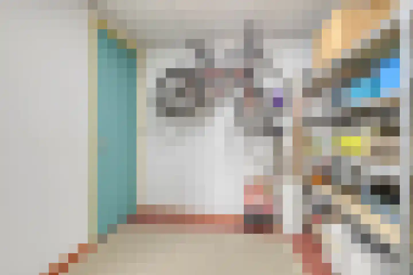Reint Dijkemastraat 6 A Siddeburen thumbnail 42