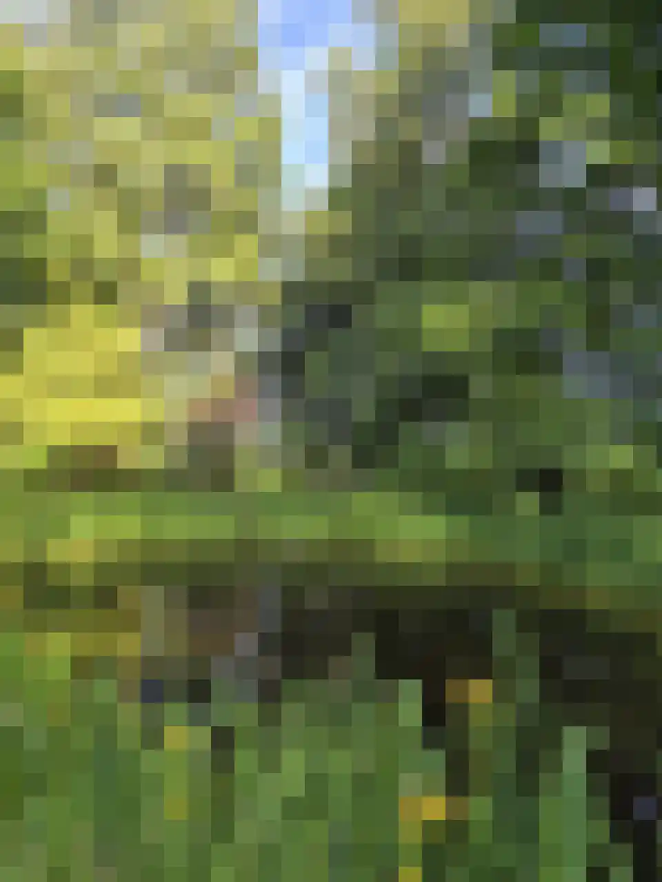 Reintjesweg 2 Lengel thumbnail 13