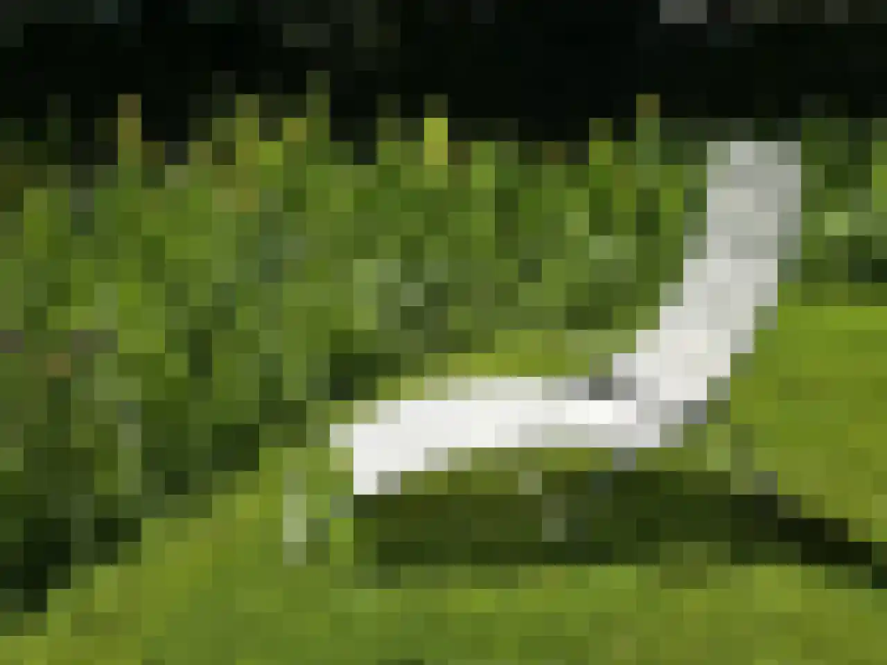 Reintjesweg 2 Lengel thumbnail 14