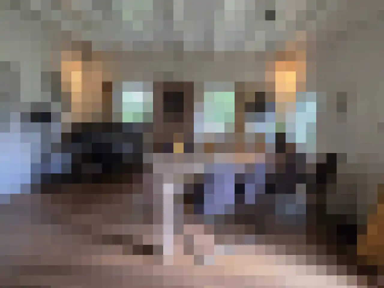 Reintjesweg 2 Lengel thumbnail 20