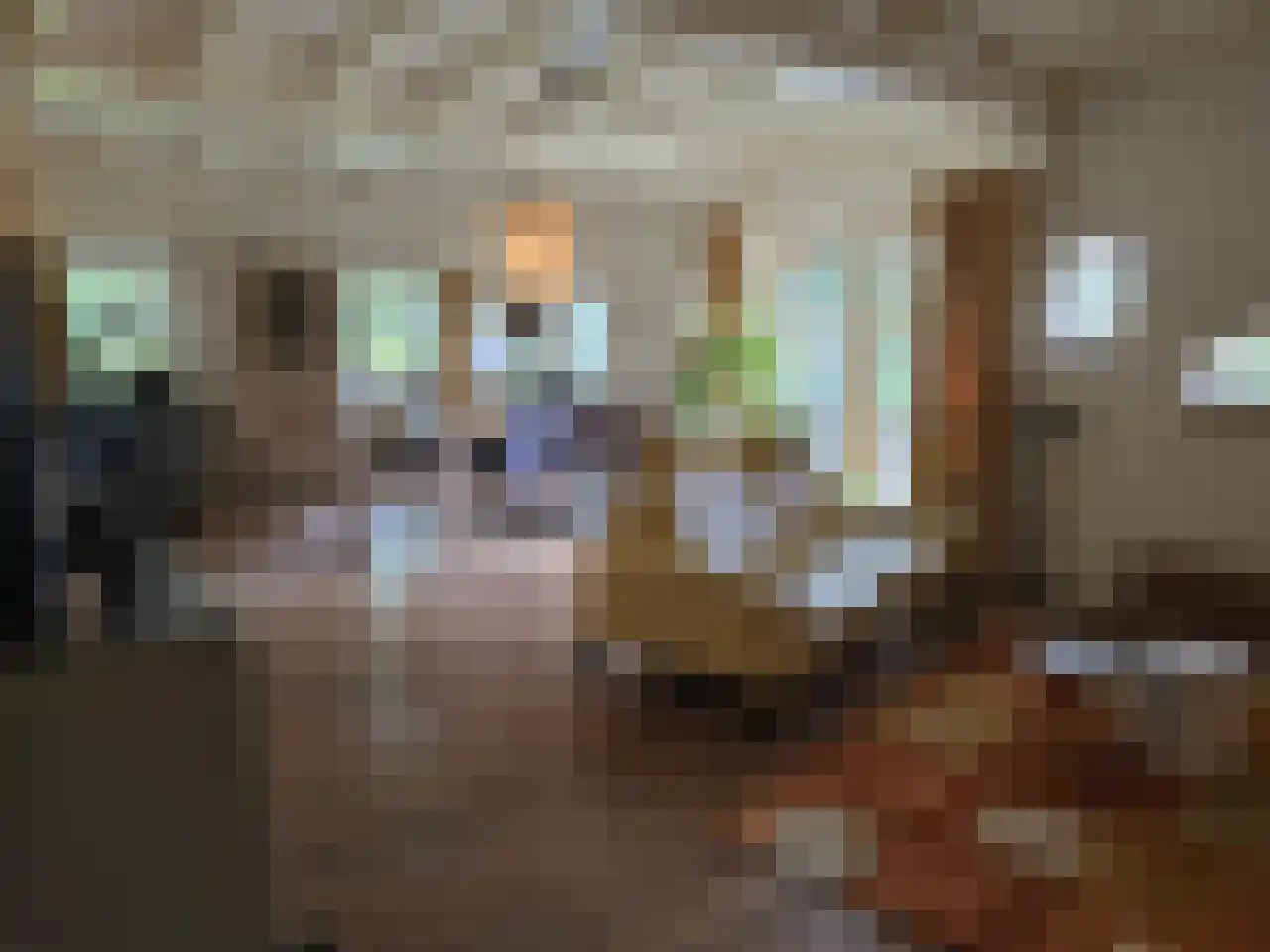 Reintjesweg 2 Lengel thumbnail 21