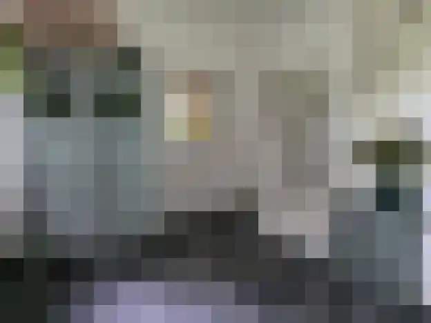 Reintjesweg 2 Lengel thumbnail 25