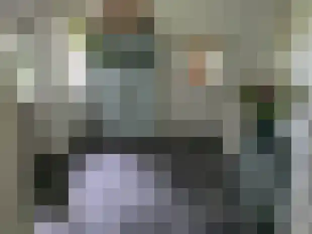 Reintjesweg 2 Lengel thumbnail 26