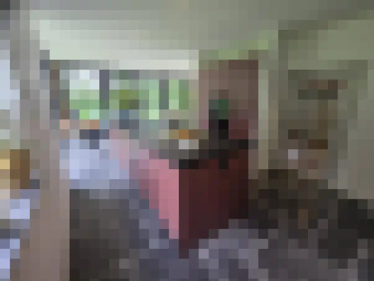 Reintjesweg 2 Lengel thumbnail 27