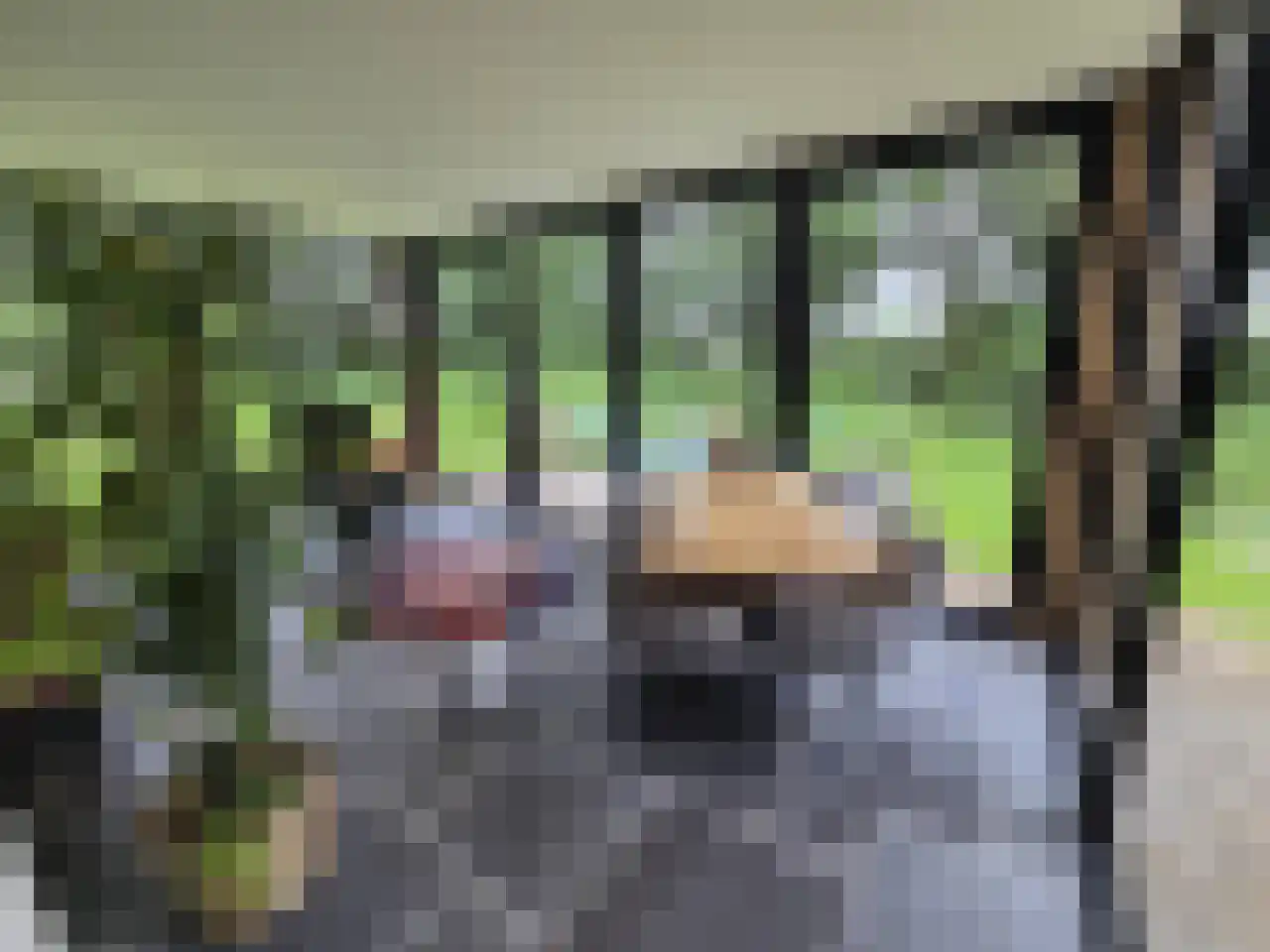 Reintjesweg 2 Lengel thumbnail 28