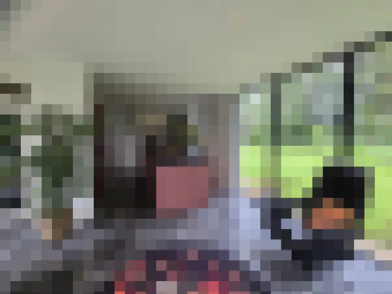 Reintjesweg 2 Lengel thumbnail 29