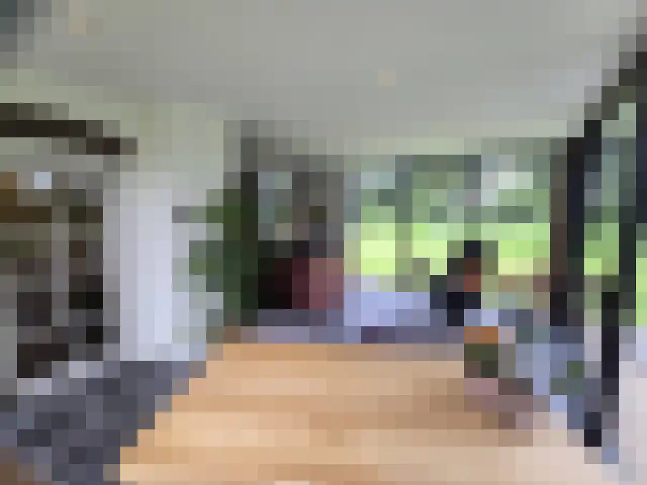 Reintjesweg 2 Lengel thumbnail 30