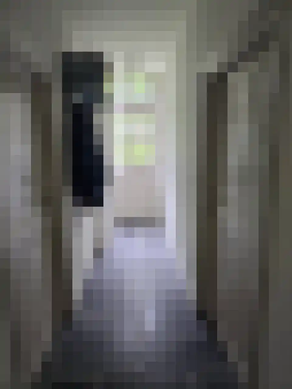 Reintjesweg 2 Lengel thumbnail 32