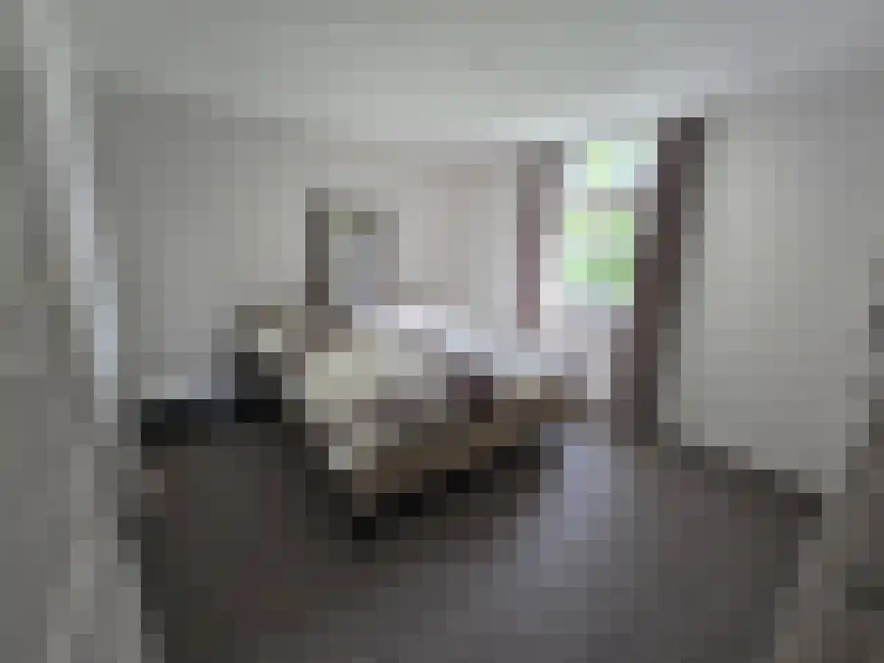 Reintjesweg 2 Lengel thumbnail 33