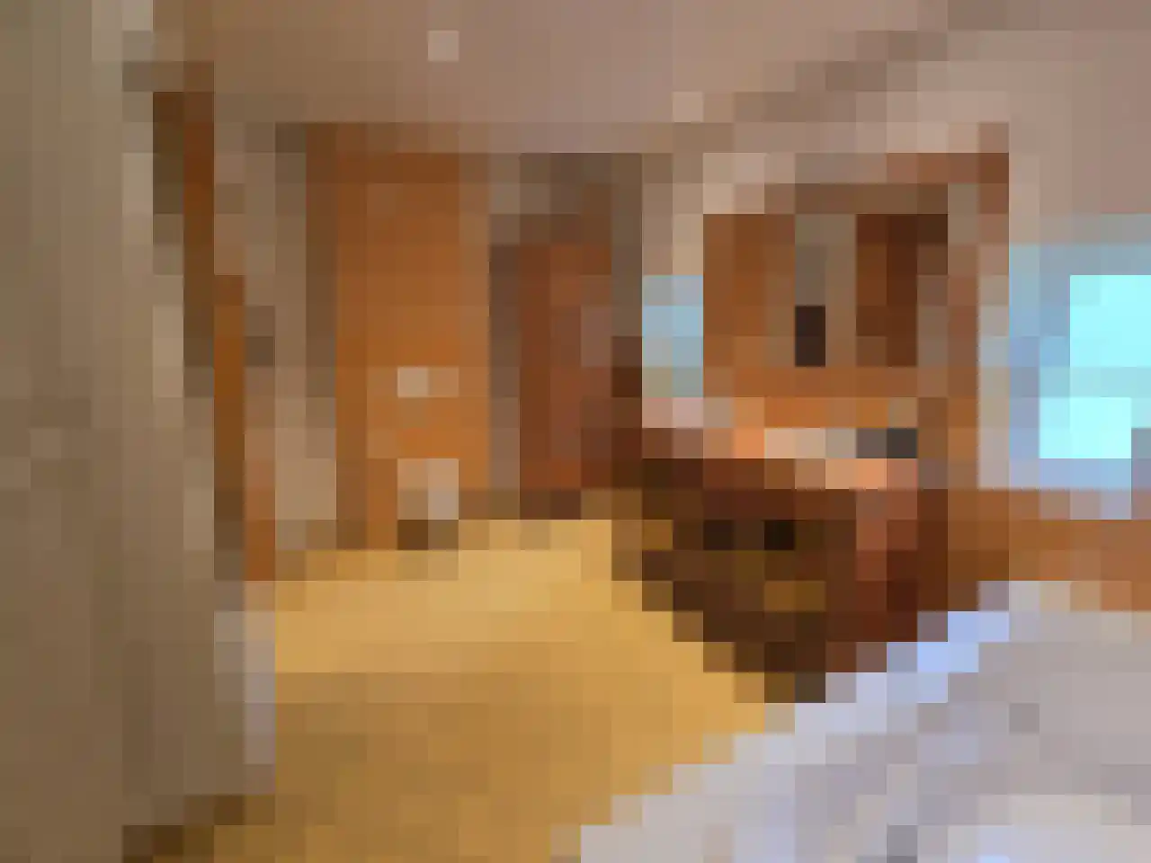 Reintjesweg 2 Lengel thumbnail 35