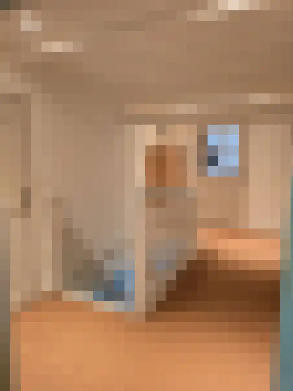 Reintjesweg 2 Lengel thumbnail 37