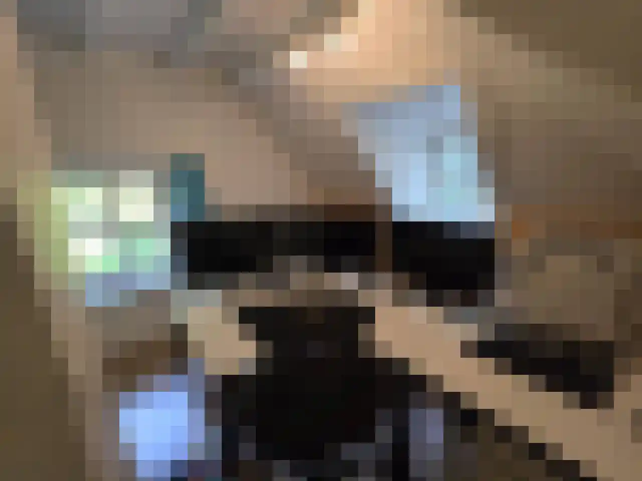 Reintjesweg 2 Lengel thumbnail 38