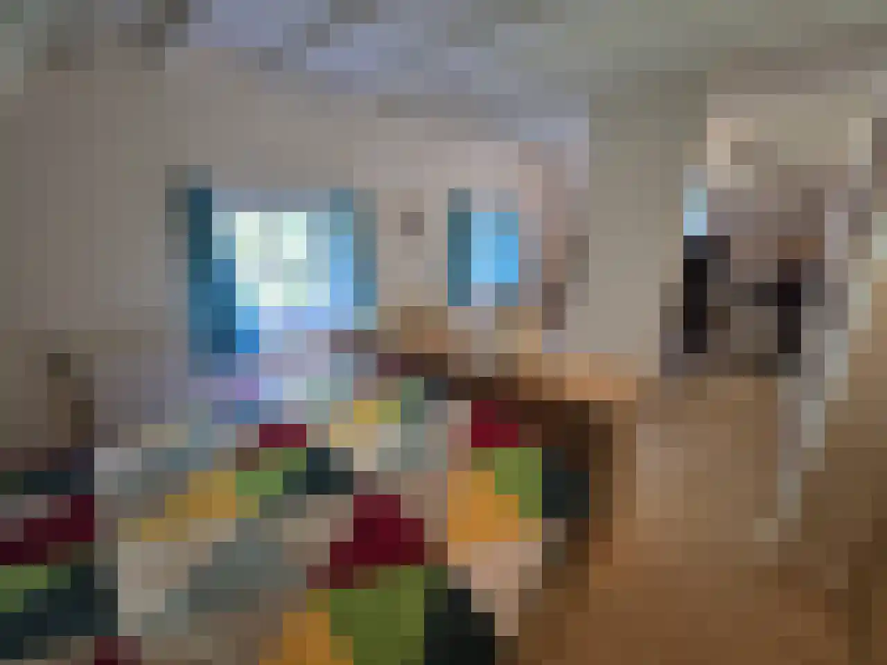 Reintjesweg 2 Lengel thumbnail 39