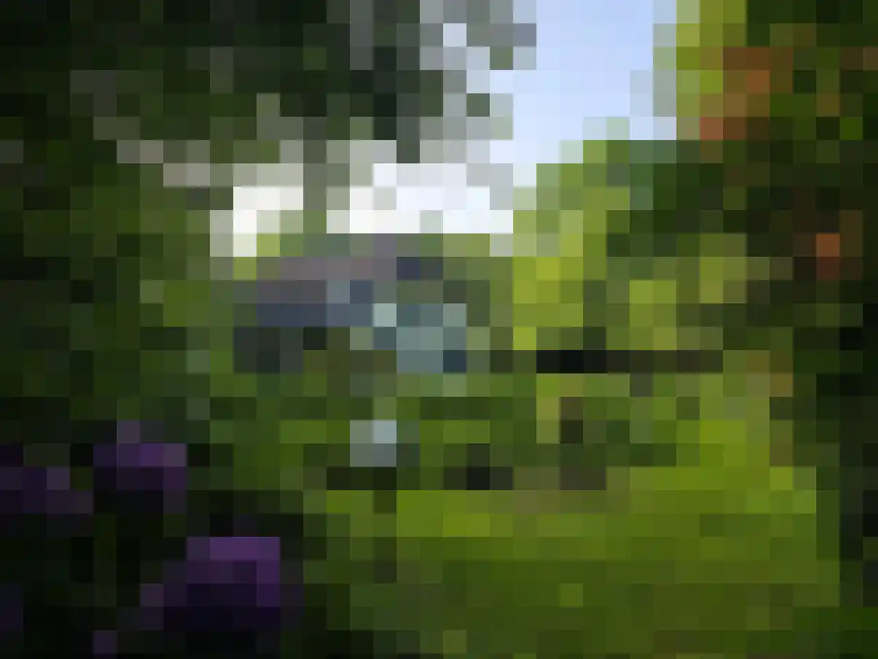 Reintjesweg 2 Lengel thumbnail 4