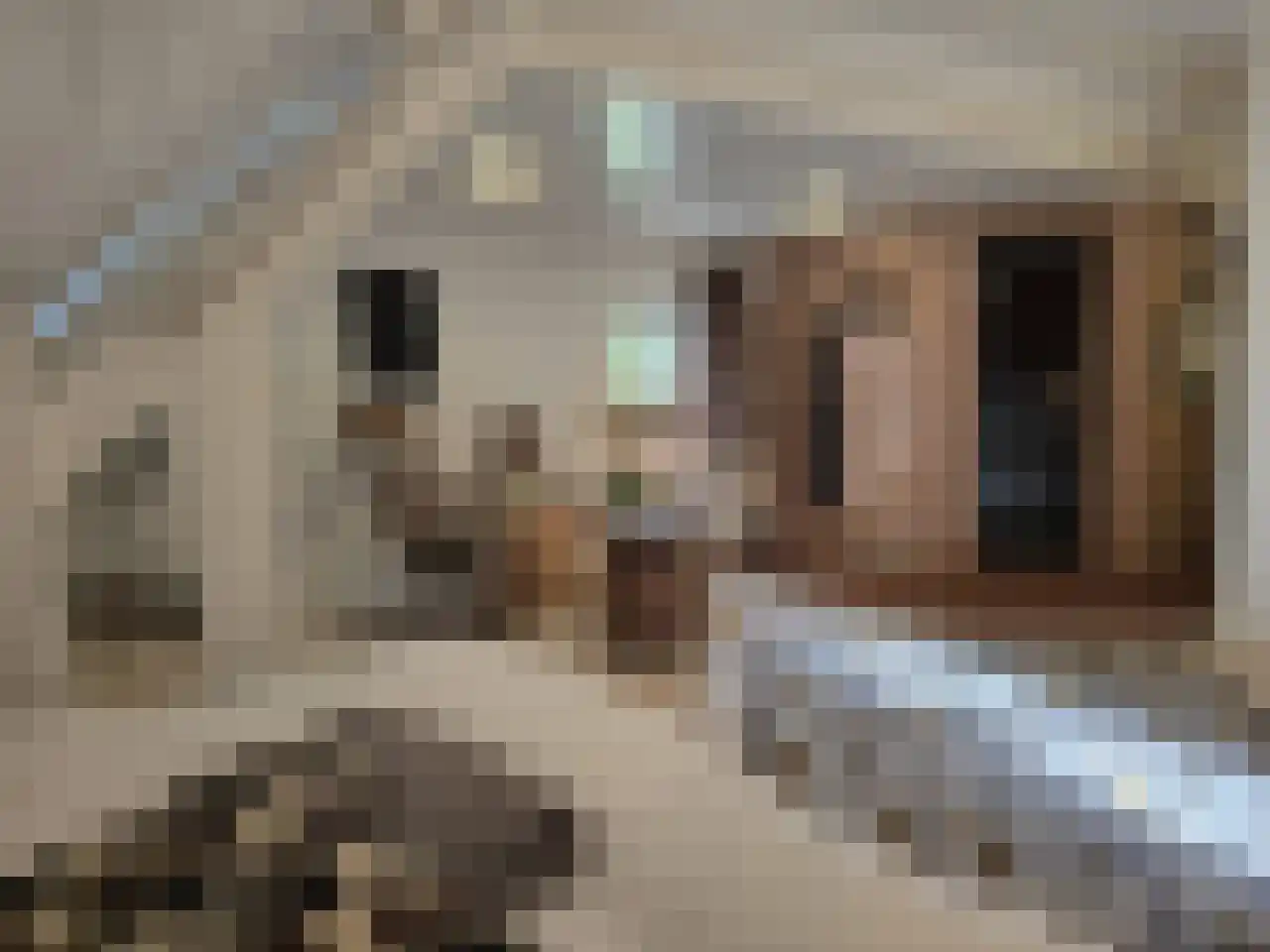 Reintjesweg 2 Lengel thumbnail 42