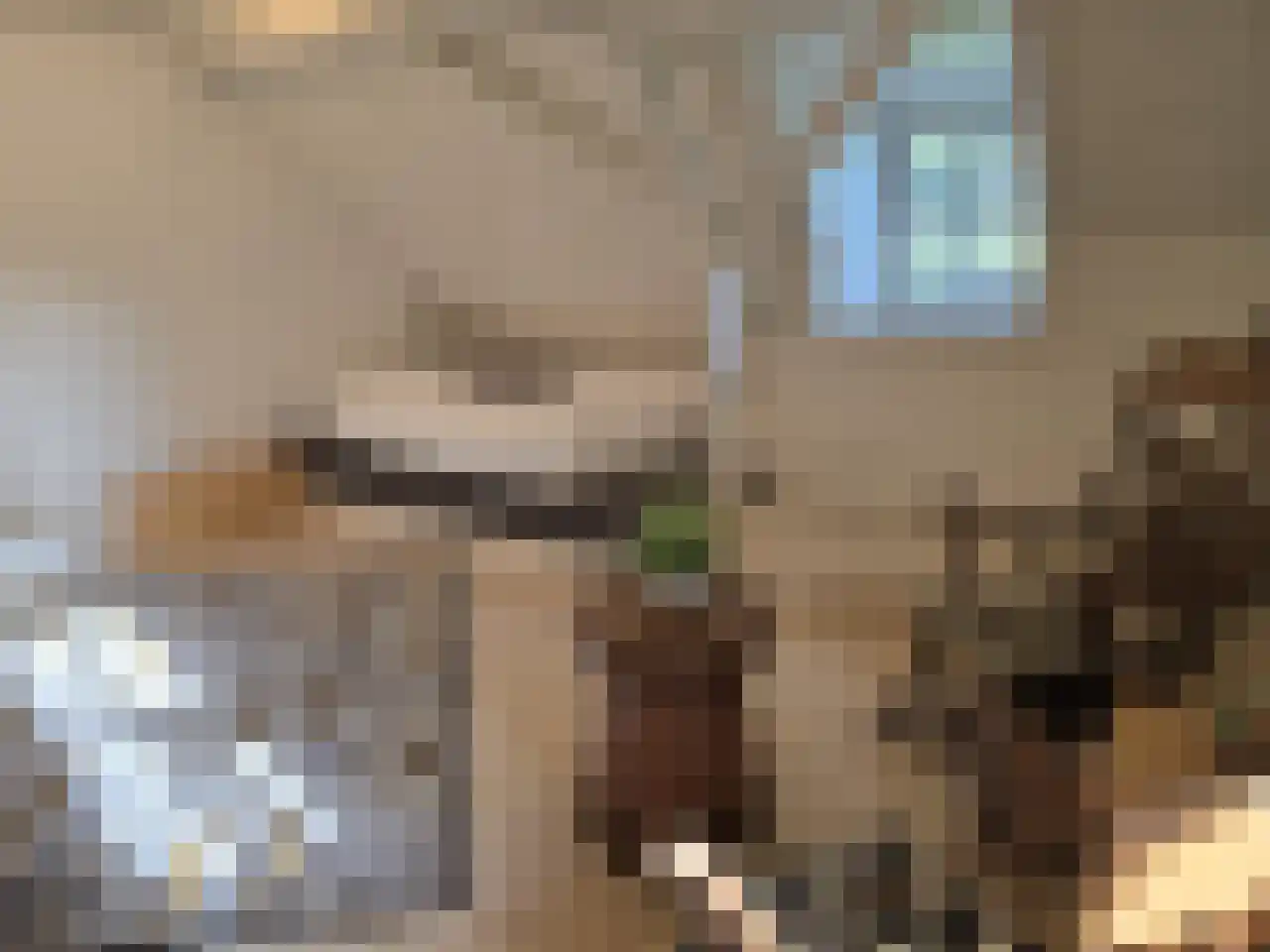 Reintjesweg 2 Lengel thumbnail 43