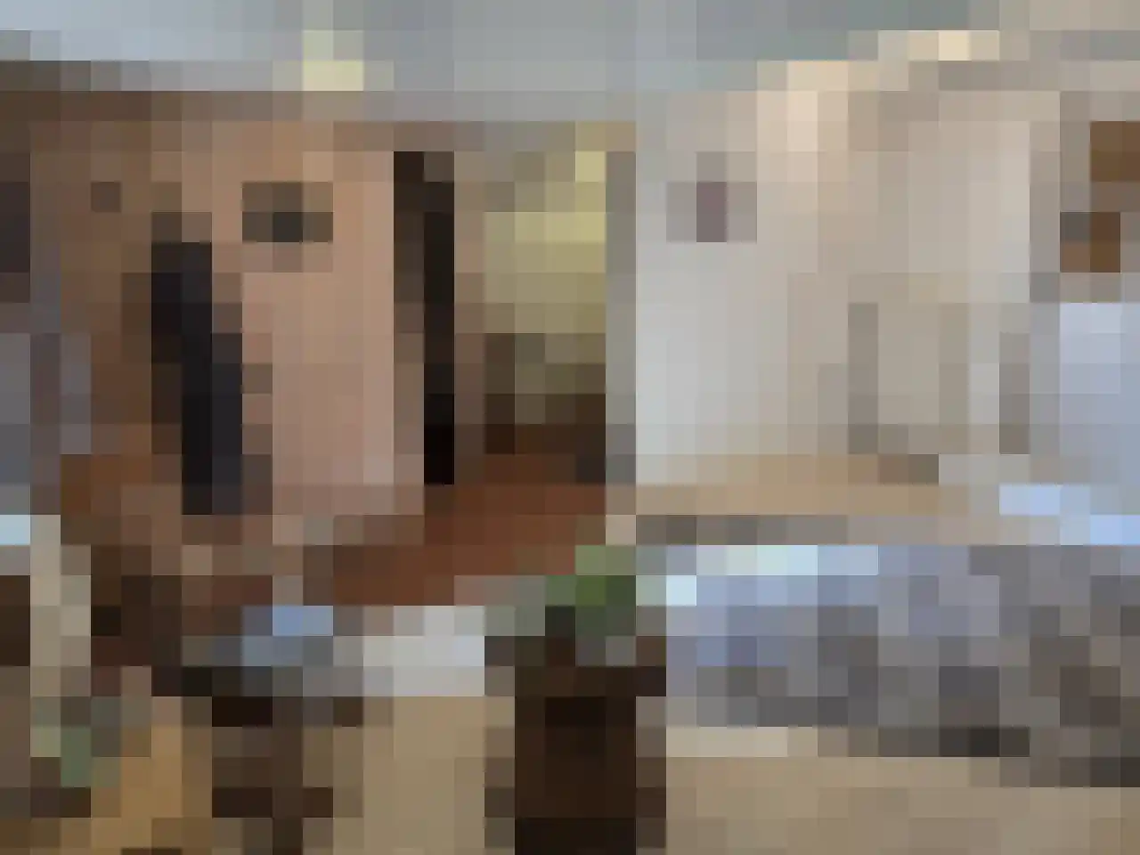 Reintjesweg 2 Lengel thumbnail 44