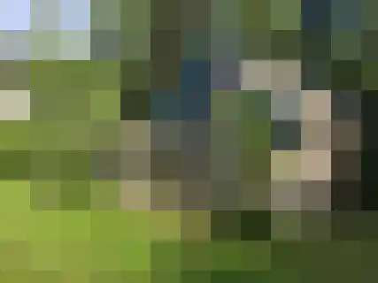 Reintjesweg 2 Lengel thumbnail 49