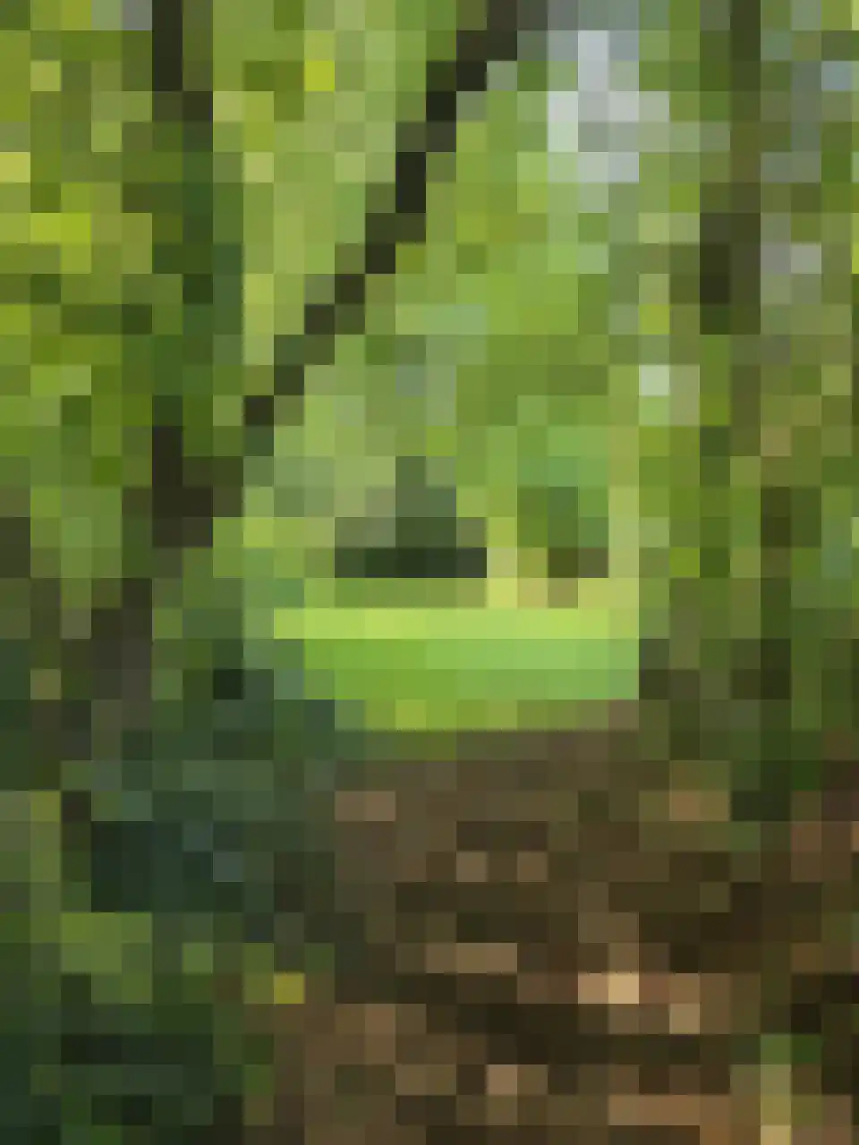 Reintjesweg 2 Lengel thumbnail 50