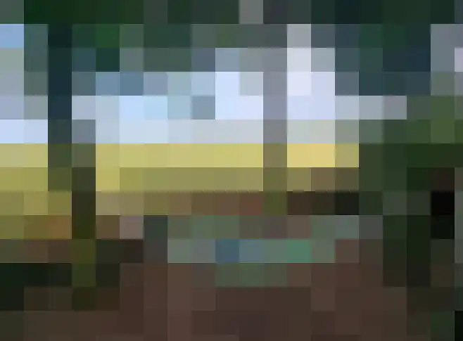 Reintjesweg 2 Lengel thumbnail 51