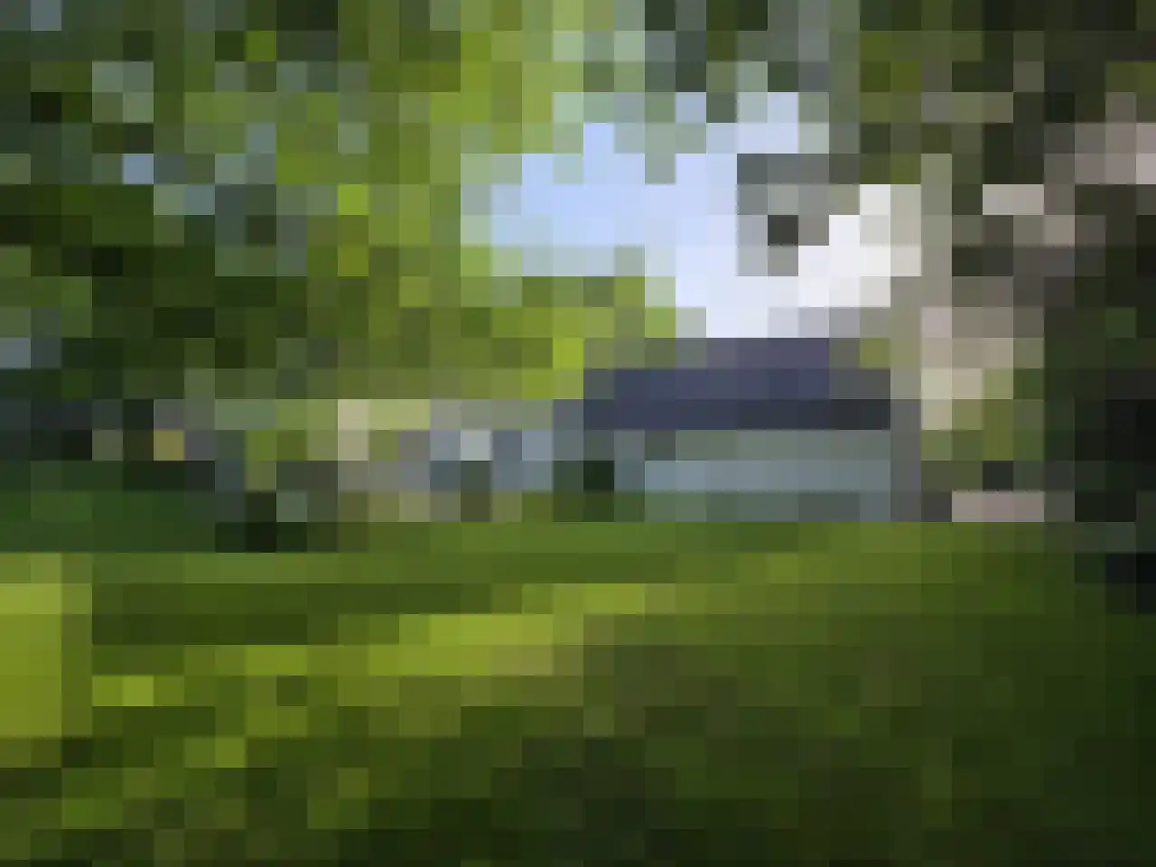 Reintjesweg 2 Lengel thumbnail 7