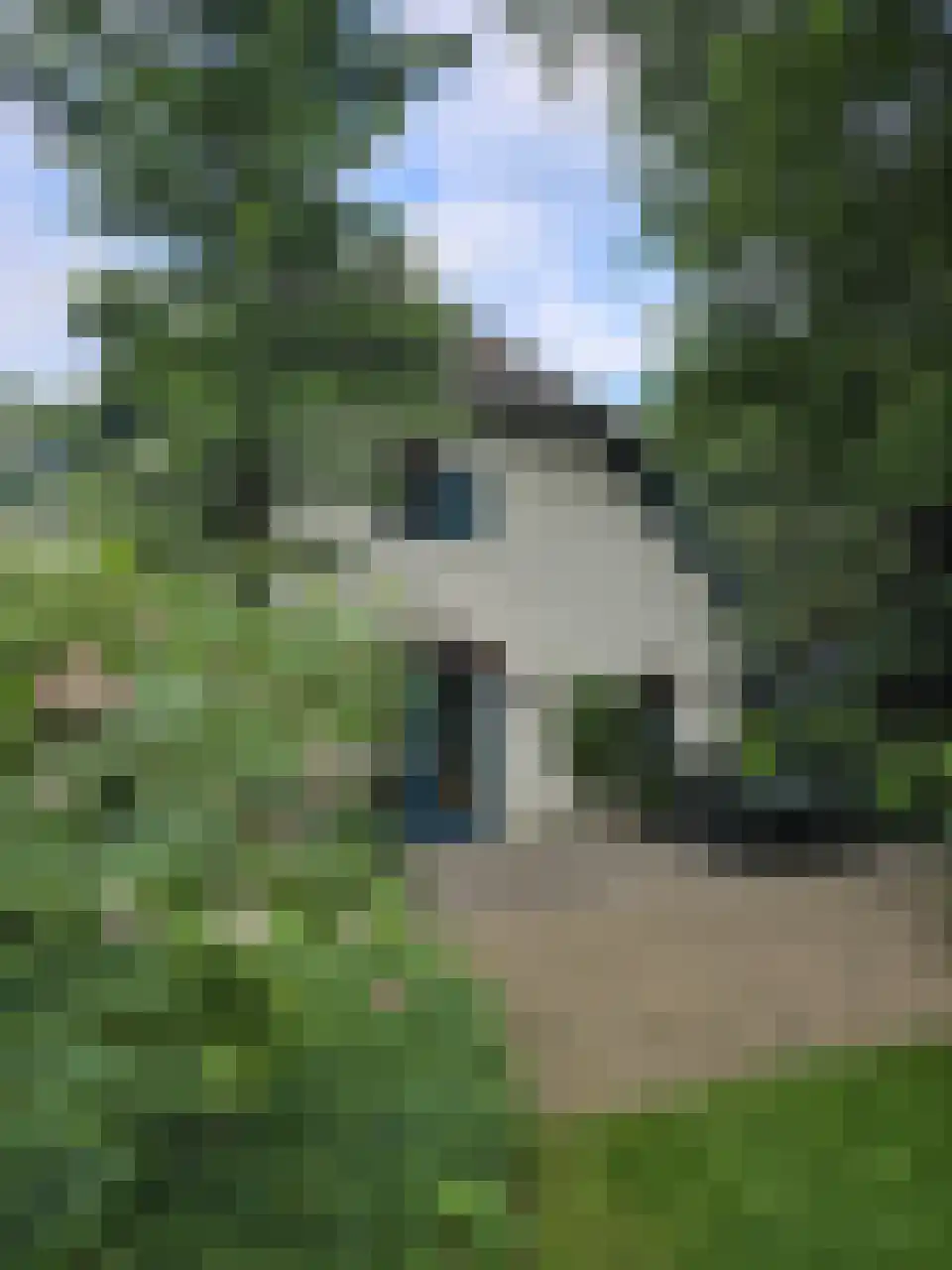 Reintjesweg 2 Lengel thumbnail 9