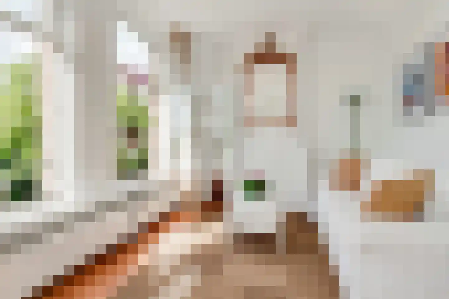 Reinwardtstraat 1 3 Amsterdam thumbnail 13