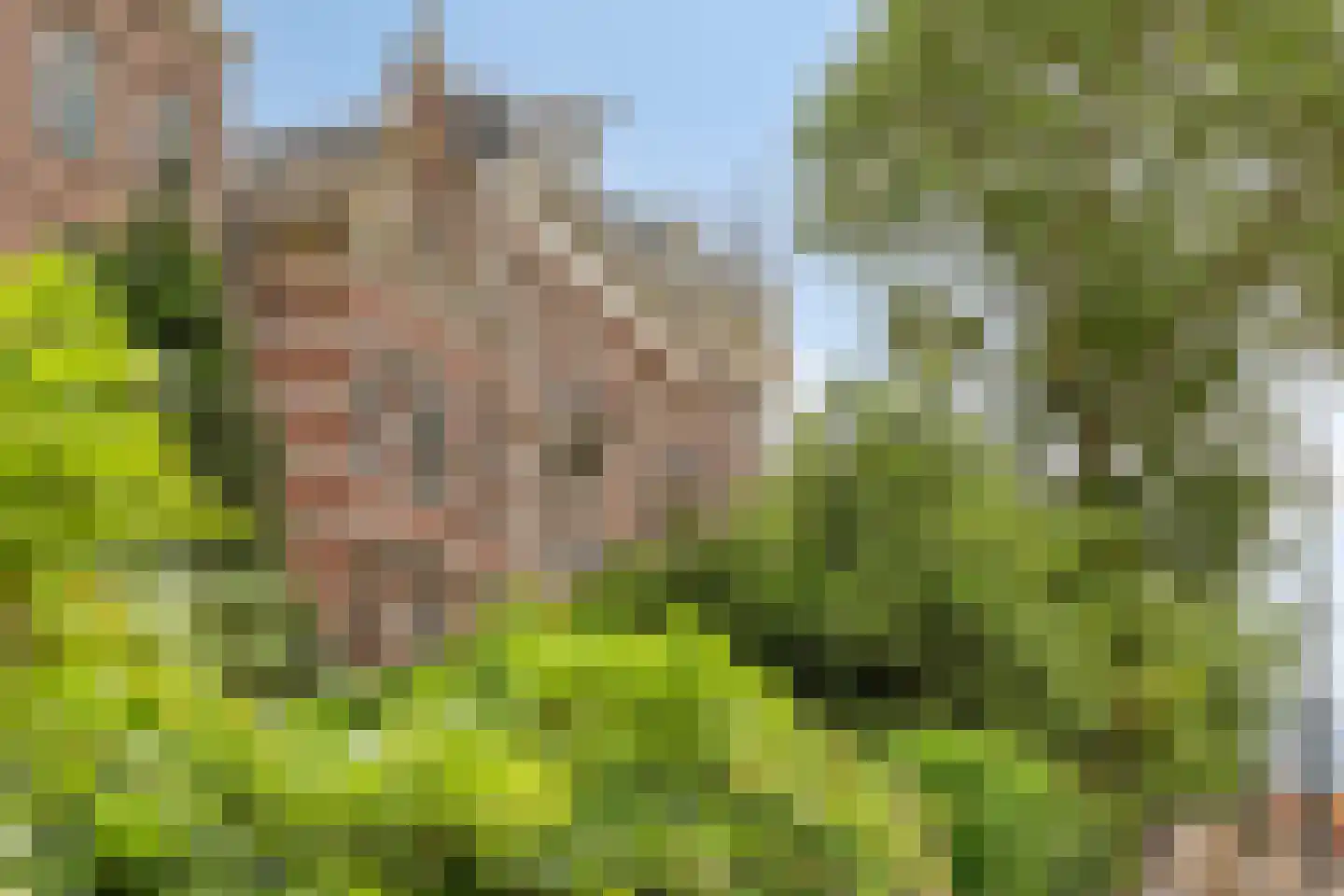 Reinwardtstraat 1 H Amsterdam thumbnail 29