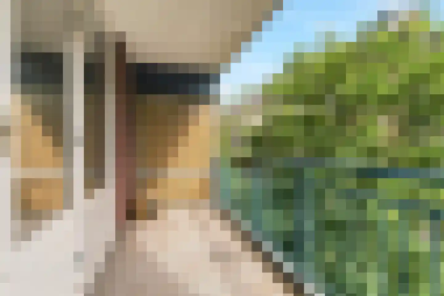 Reinwardtstraat 102 Amsterdam thumbnail 13