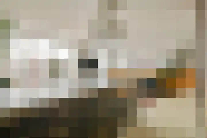 Reinwardtstraat 174 Amsterdam thumbnail 5