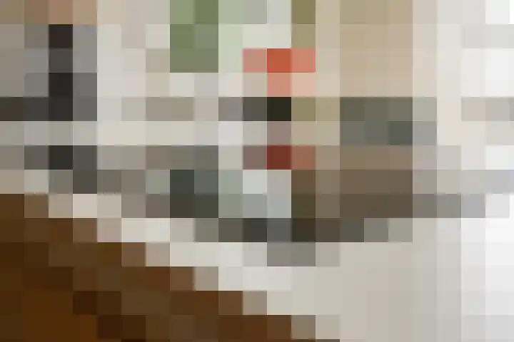 Reinwardtstraat 174 Amsterdam thumbnail 7