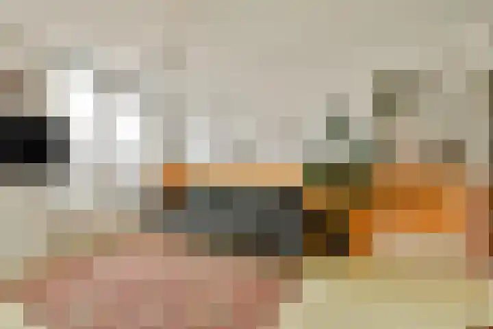 Reinwardtstraat 174 Amsterdam thumbnail 9