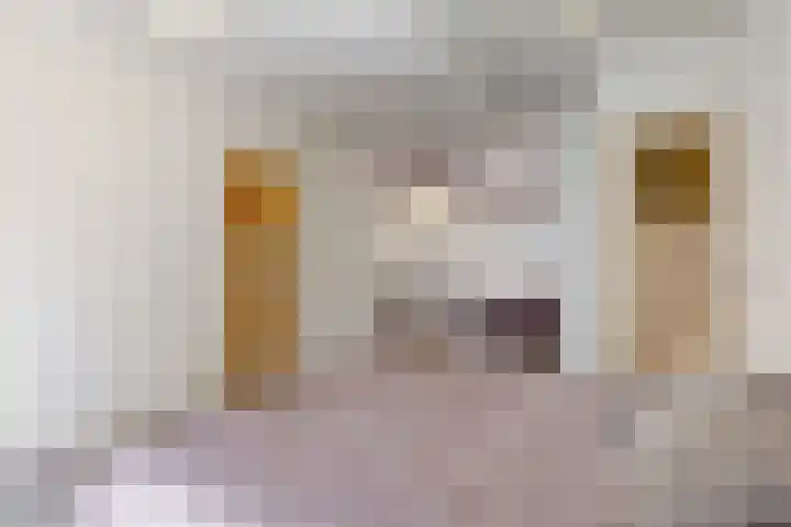 Reinwardtstraat 2 Den Haag thumbnail 14