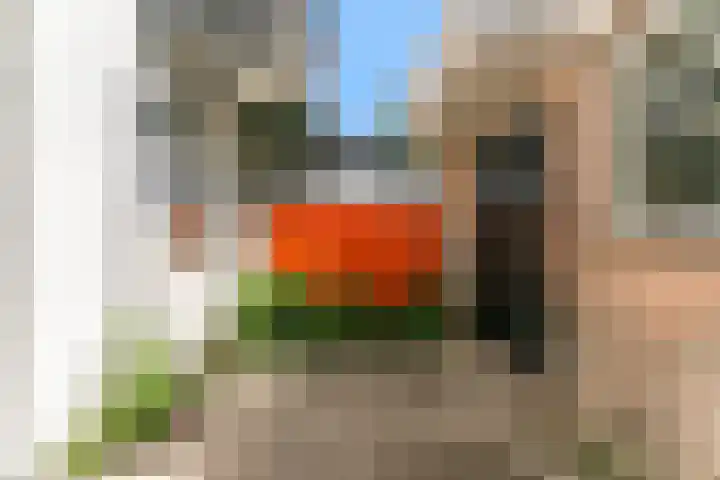Reinwardtstraat 2 Den Haag thumbnail 20