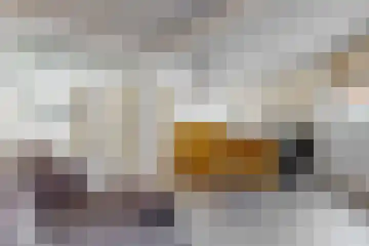 Reinwardtstraat 2 Den Haag thumbnail 5