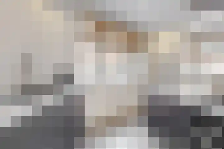 Reinwardtstraat 2 Den Haag thumbnail 7
