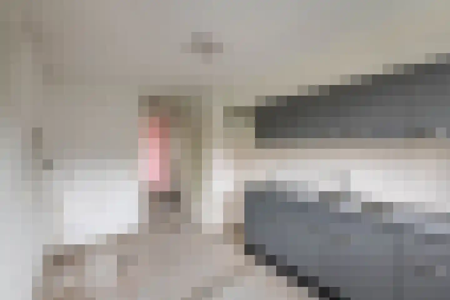 Reinwardtstraat 228 Amsterdam thumbnail 5