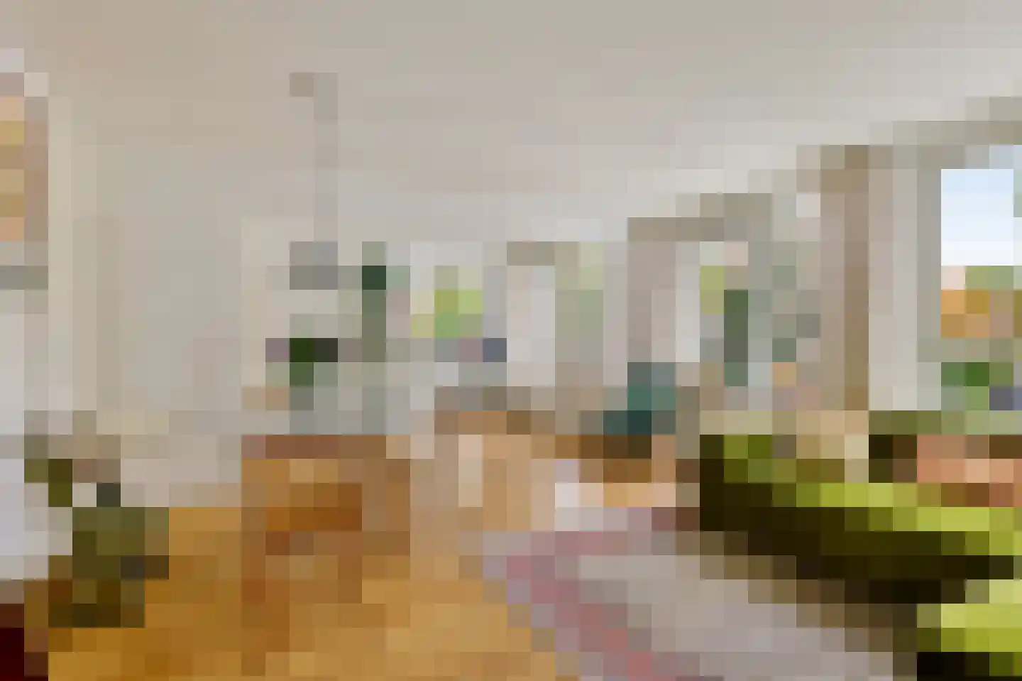 Reinwardtstraat 244 Amsterdam thumbnail 13