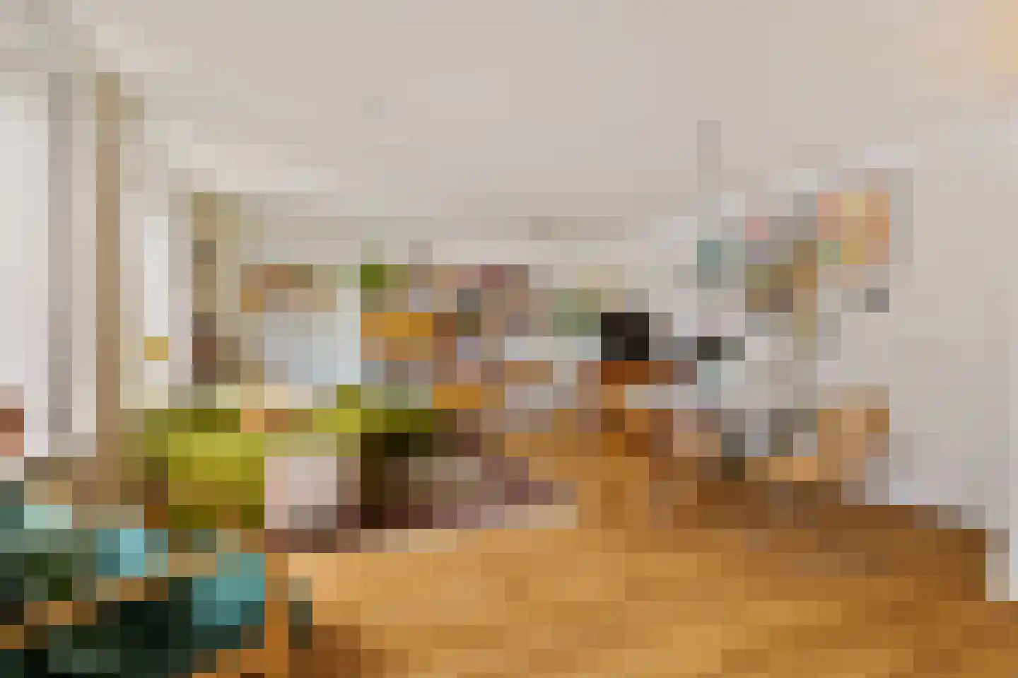 Reinwardtstraat 244 Amsterdam thumbnail 8