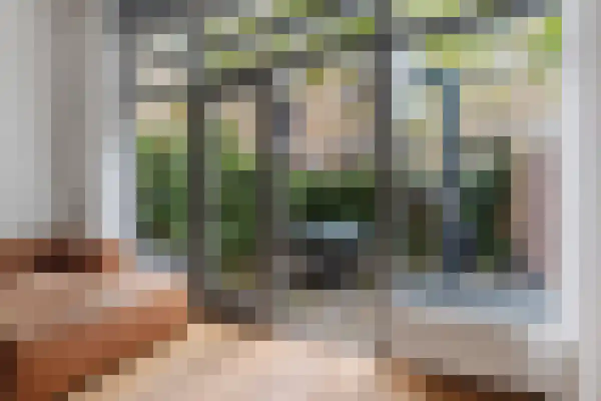 Reinwardtstraat 382 Amsterdam thumbnail 5