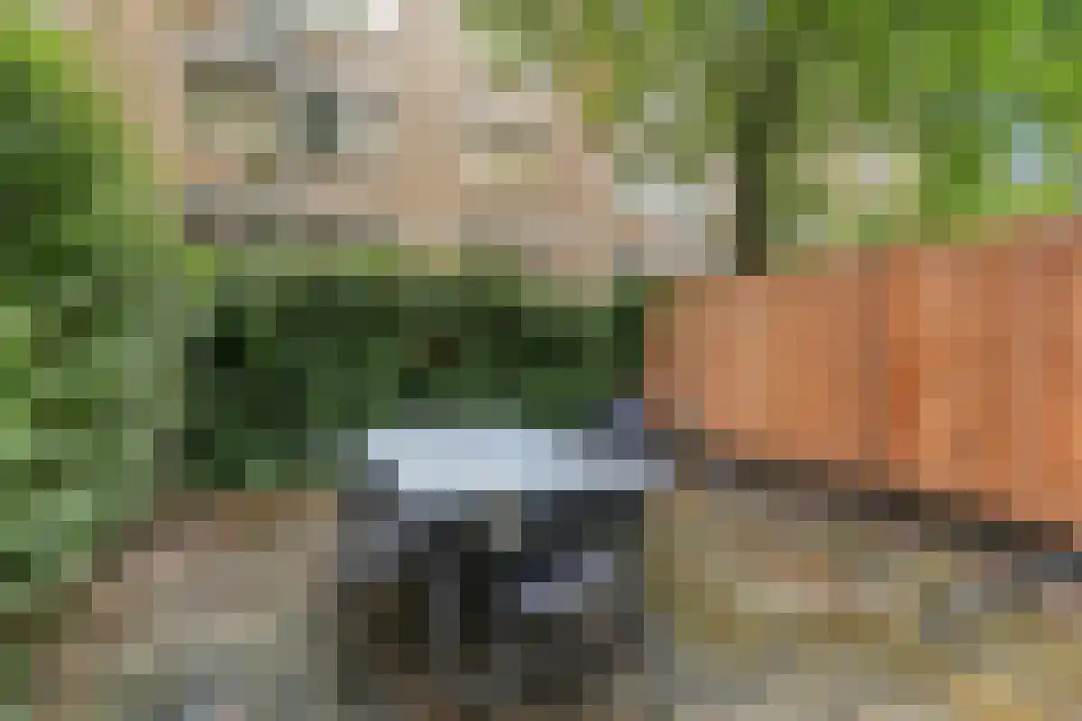 Reinwardtstraat 382 Amsterdam thumbnail 6