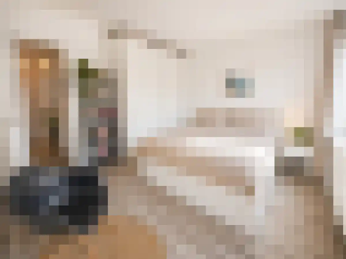 Reinwardtstraat 386 Amsterdam thumbnail 5