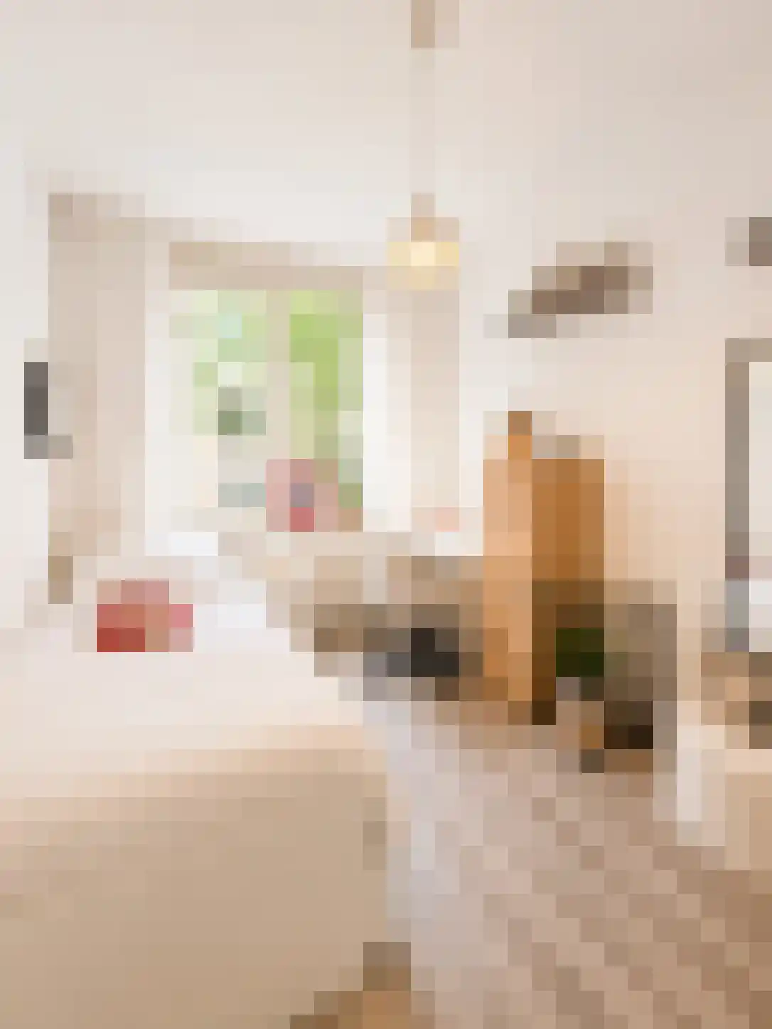 Reinwardtstraat 386 Amsterdam thumbnail 6