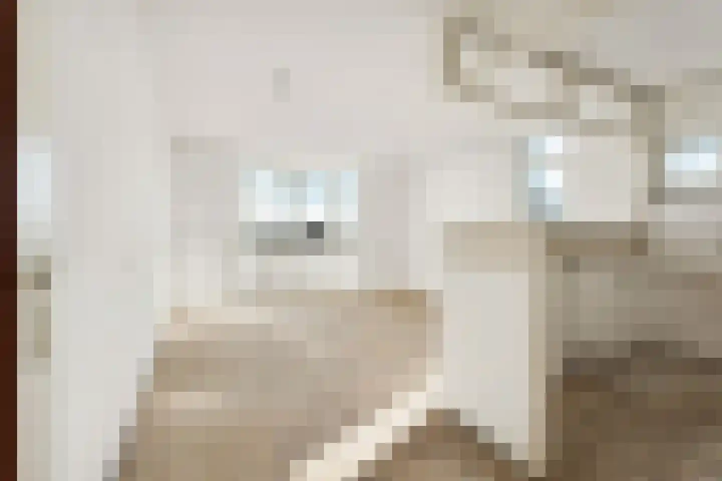 Reinwardtstraat 55 H Amsterdam thumbnail 8