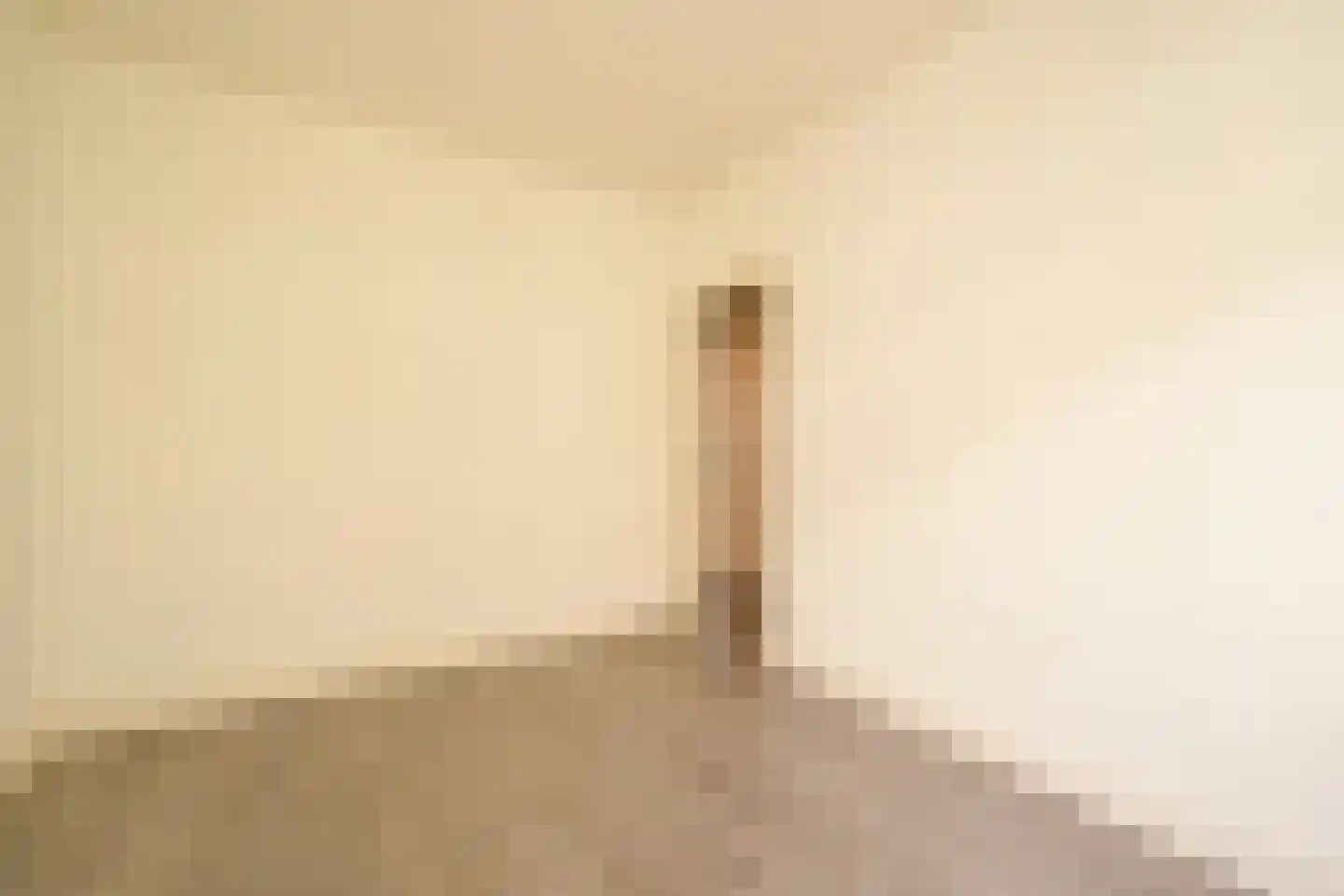 Reinwardtstraat 65 Den Haag thumbnail 21