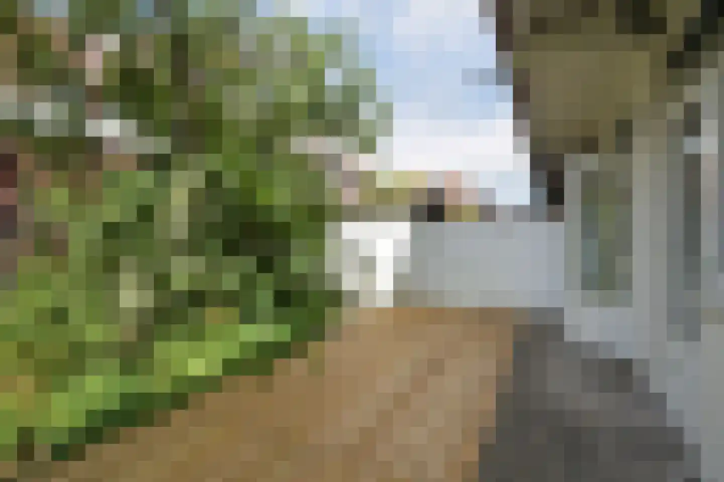 Reinwardtstraat 65 Den Haag thumbnail 26