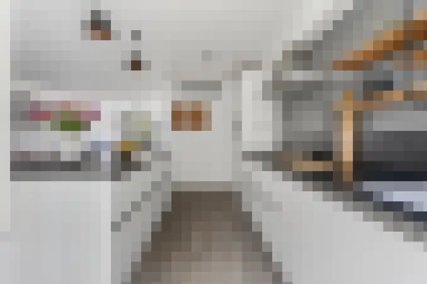 Reinwardtstraat 74 Amsterdam thumbnail 11