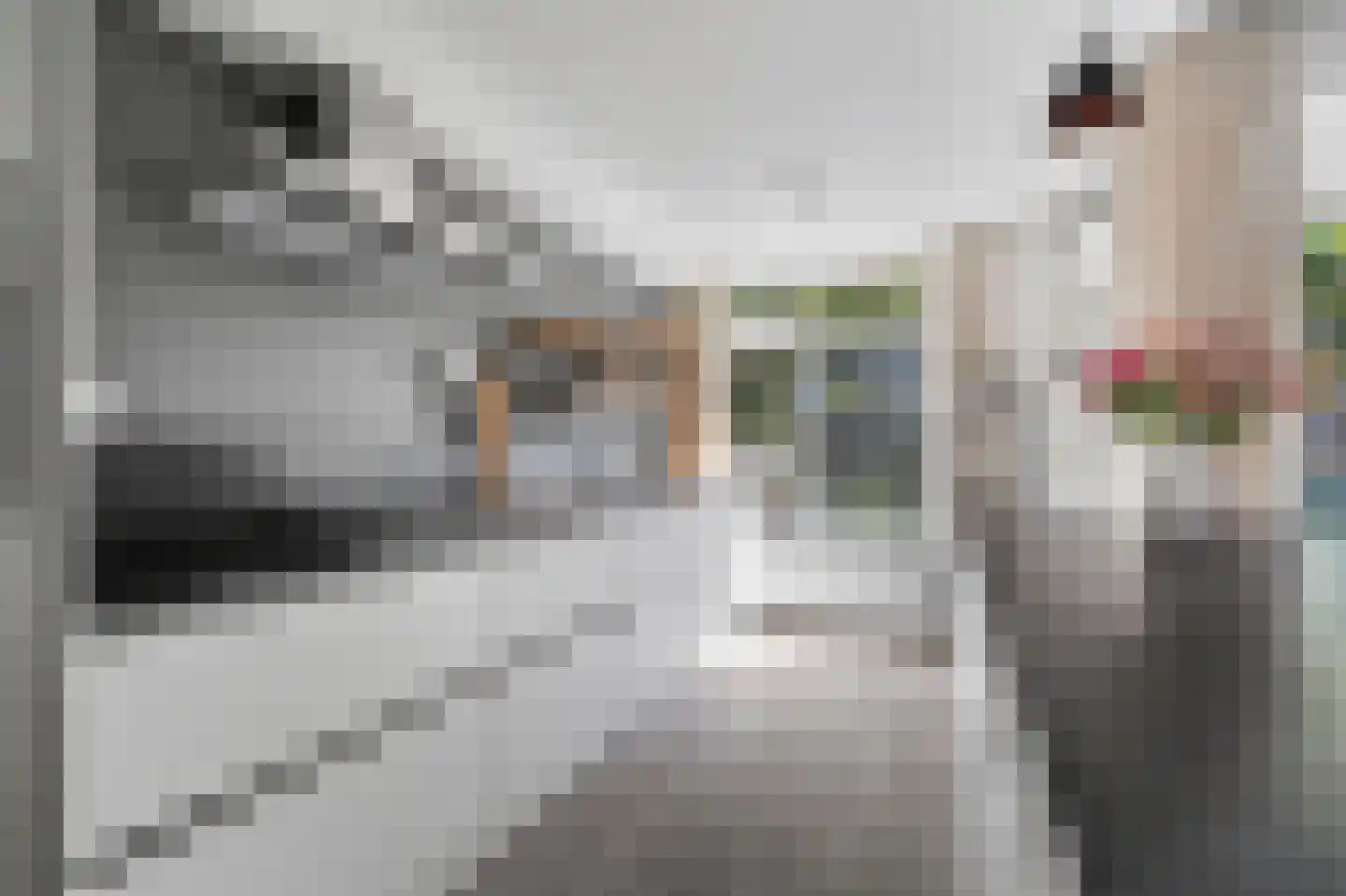 Reinwardtstraat 74 Amsterdam thumbnail 13