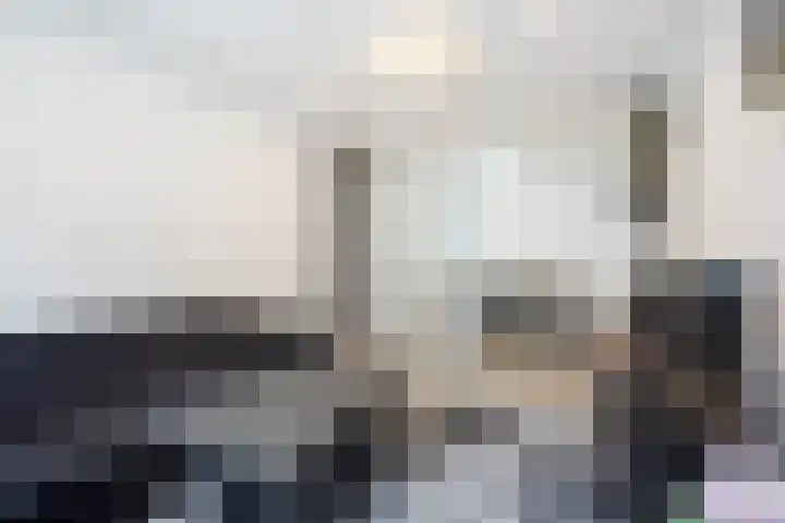 Reinwardtstraat 77 Den Haag thumbnail 10
