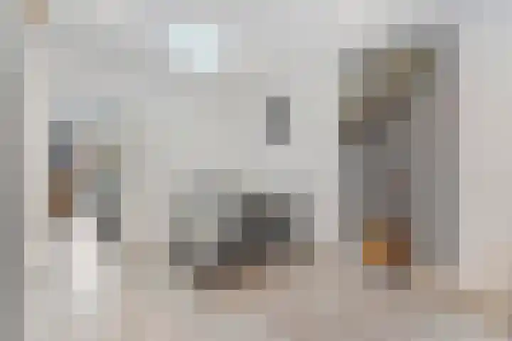 Reinwardtstraat 77 Den Haag thumbnail 12